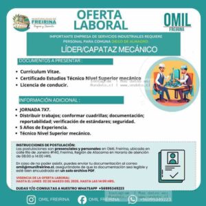Líder/Capataz Mecánico