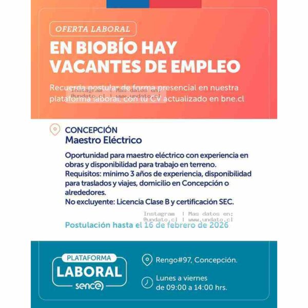 Maestro Eléctrico Concepción Biobío