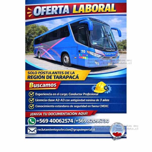Conductor Profesional – Región de Tarapacá