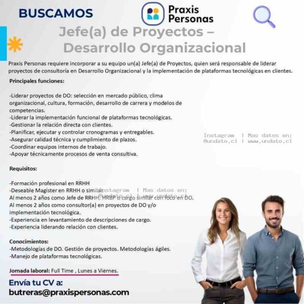 Jefe(a) de Proyectos DO y Plataformas