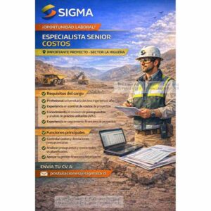 Especialista Senior de Costos