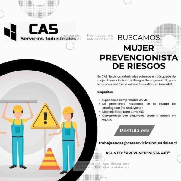 Prevencionista de Riesgos 4x3 Escondida