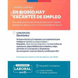 Técnico o Ingeniero Electrónico