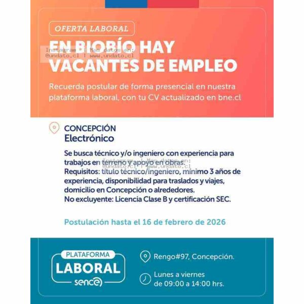 Técnico o Ingeniero Electrónico
