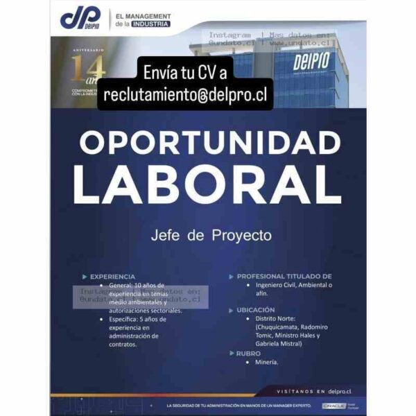 Jefe de Proyecto Minería