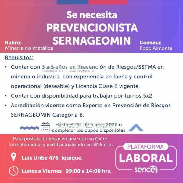 Prevencionista SERNAGEOMIN Pozo Almonte