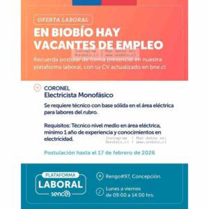Electricista Monofásico – Coronel, Biobío