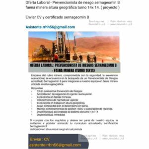Prevencionista de Riesgos Sernageomin B – Minería 14x14
