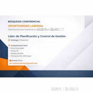 Líder de Planificación y Control de Gestión