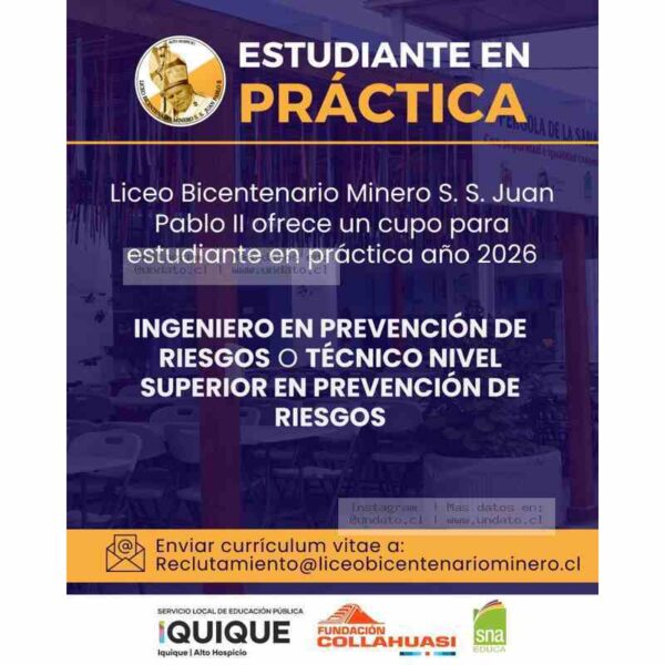 Estudiante en Práctica