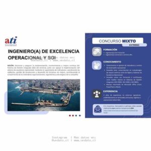 Ingeniero(a) de Excelencia Operacional y SGI