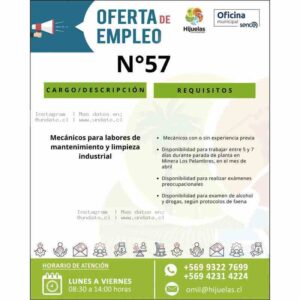 Mecánicos para Parada de Planta – Minera Los Pelambres