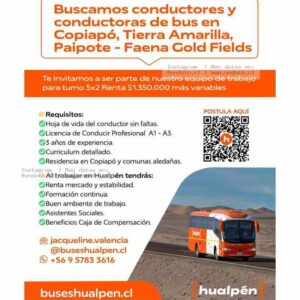 Conductor/a de Bus Copiapó 5x2 (Faena Gold Fields)