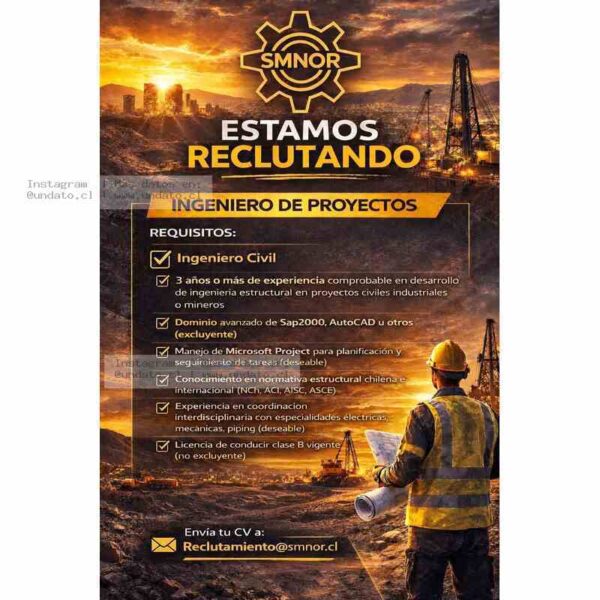 Ingeniero de Proyectos